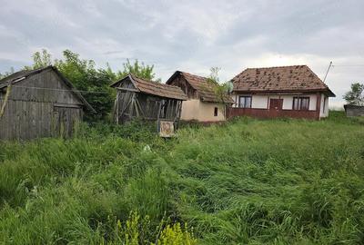 Casă cu Teren 5000 Mp în Șăulia - 5