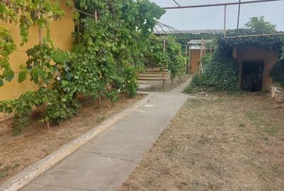 Casă cu 3 camere cu Teren 570 Mp în Biled