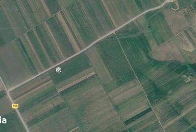 Teren de 3600 mp, în Corni - 10