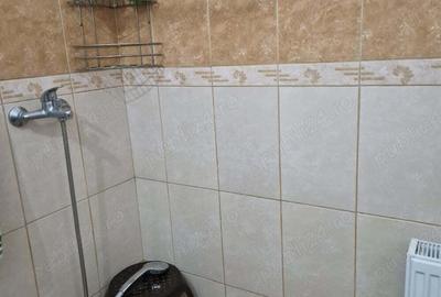 Casă cu 2 camere în Chișineu-Criș - 3