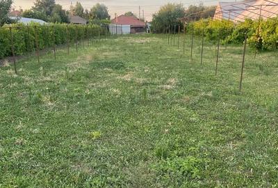 Teren de 2500 mp, în Sud - 5