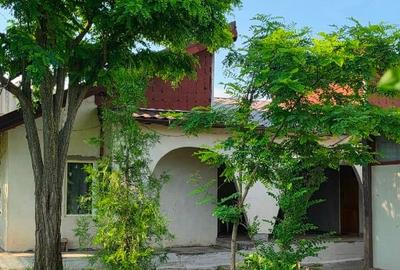 Casă individuală cu 4 camere cu Teren 1800 Mp în Cârligu Mare - 7