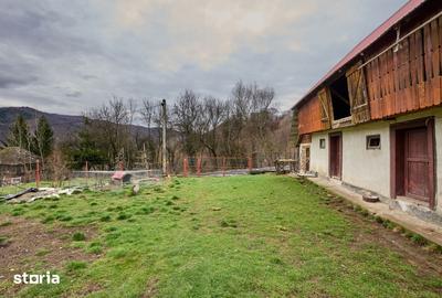 Casă cu 4 camere cu Teren 4213 Mp în Nucșoara