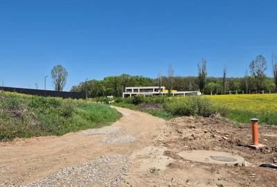 Teren de 5000 mp, în Ciolpani - 19