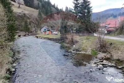 Teren în Rucăr - 8