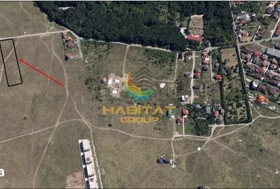 Teren de 5000 mp, în Băneasa