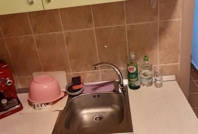 Garsonieră în Ostroveni