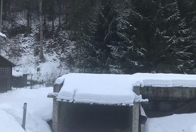 Teren de 3600 mp, în Sucevița - 3