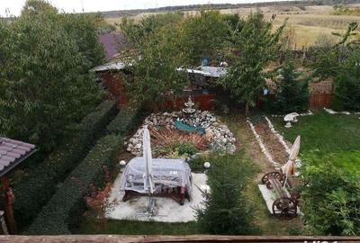 Casă cu 4 camere cu Teren 3000 Mp în Teiș - 9