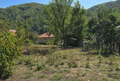 Casă cu 5 camere în Aluniș - 4