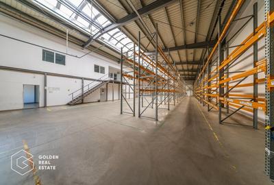Spațiu industrial, de 704.71997070313 mp, în Aradul Nou - 24