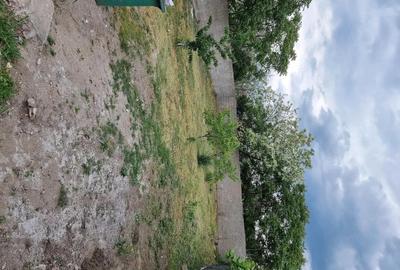Casă cu Teren 650 Mp în Grabaț - 2