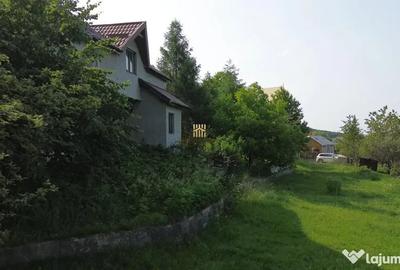 Teren de 4863 mp, în Adâncata - 11
