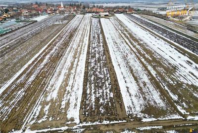 Teren de 6245 mp, în Dobolii de Jos - 3