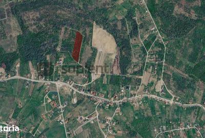 Teren de 4316 mp, în Sântandrei
