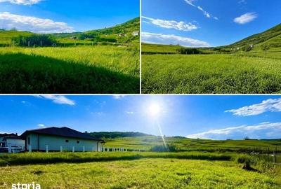 Teren de 930 mp, în Viișoara
