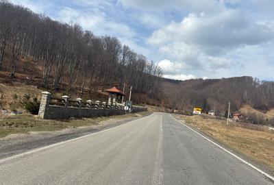 Teren agricol extravilan de 39.5 mp, în Măneciu - 12