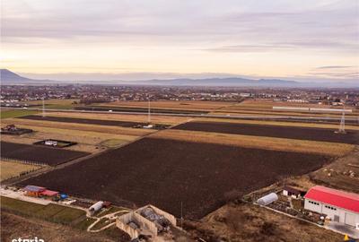 Teren de 5000 mp, în Stupini - 4