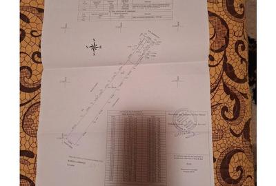 Teren de 3751 mp, în Măgurele