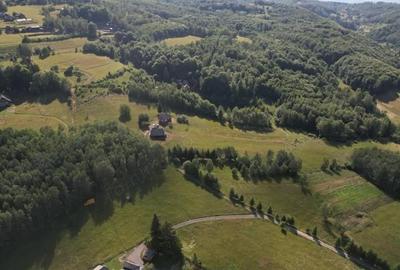 Teren de 38781 mp, în Râșca - 1