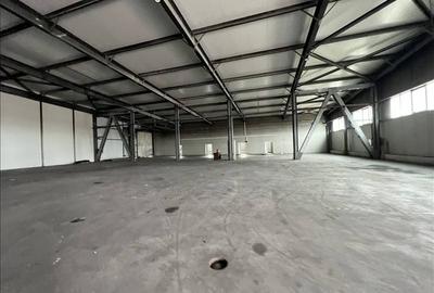 Spațiu comercial, de 1,310 mp, în Mehala - 3