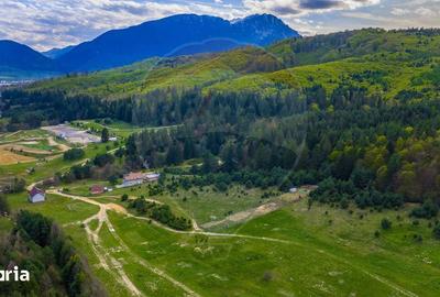Teren de 10000 mp, în Brebina - 2