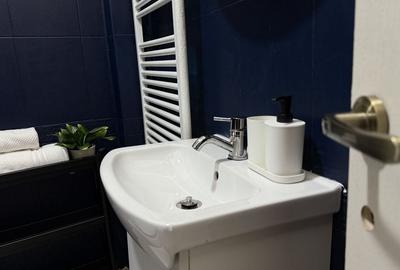 Garsonieră în Cișmigiu - 2