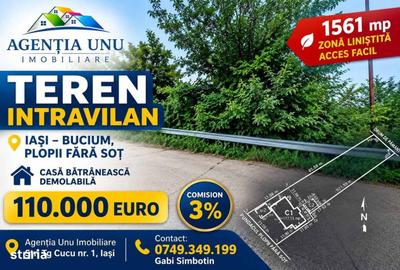 Spațiu comercial, în Bucium