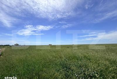 Teren de 2400 mp, în Brazda lui Novac - 4