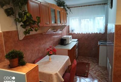 Apartament cu 2 camere decomandat în Dâmbu Pietros - 10