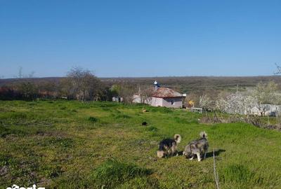 Casă cu 2 camere cu Teren 75 Mp în Dumbrăveni - 2