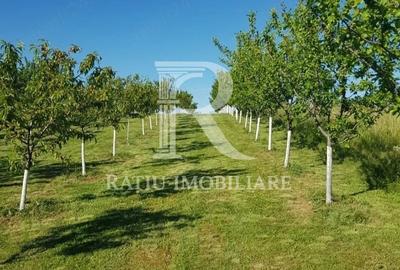Teren de 1500 mp, în Sânmartin