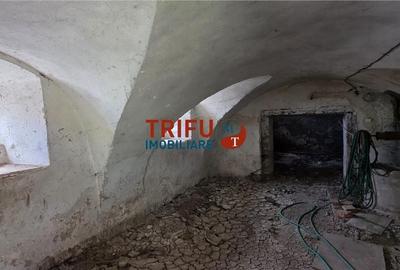 Casă cu 4 camere cu Teren 5000 Mp în Cricău - 2