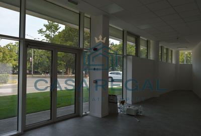 Spațiu comercial, de 52.360000610352 mp, în Cantemir - 10