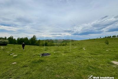 Teren agricol extravilan de 3000 mp, în Feleacu - 5