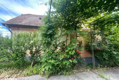 Casă cu 3 camere cu Teren 2000 Mp în Viișoara