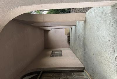 Casă cu Teren 12000 Mp în Chitila - 3