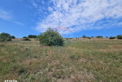 Teren de 11600 mp, în Apahida - 5