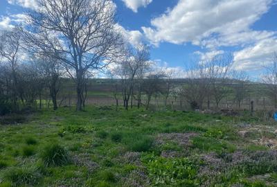Casă cu 3 camere în Glodeni - 1