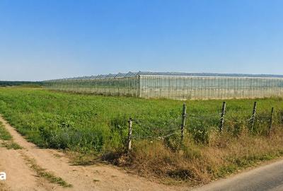 Teren de 30000 mp, în Bucșani - 1