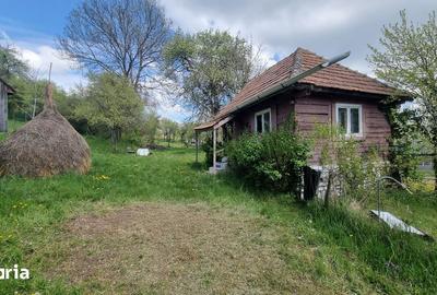 Casă cu 1 camere cu Teren 3750 Mp în Ciurila - 5