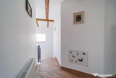Casă cu 2 camere cu Teren 1215 Mp în Turcheș - 14