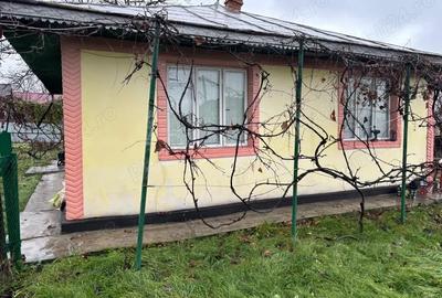 Casă cu 5 camere în Viișoara - 2