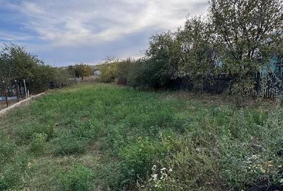 Teren de 623 mp, în Nevesteasca