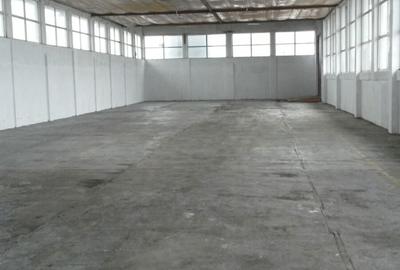 Spațiu industrial, de 680 mp, în Anda - 7
