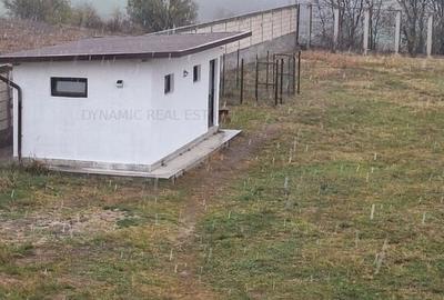 Casă individuală cu 4 camere cu Garaj în Mârșa - 12