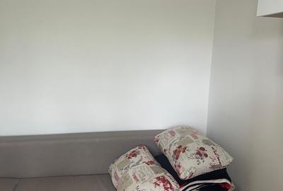 Garsonieră semidecomandată, mobilată în Baicului - 2