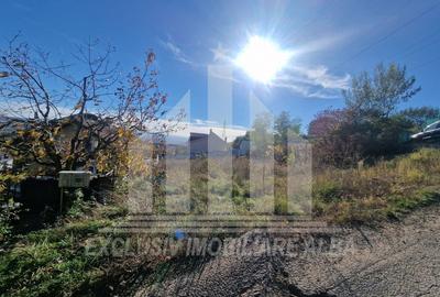 Teren Construcții intravilan de 500 mp, în Cetate - 4
