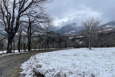 Teren de 5100 mp, în Rusca - 5