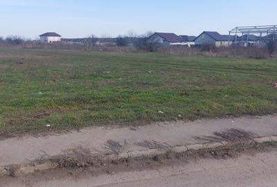 Teren de 3900 mp, în Cornetu - 3